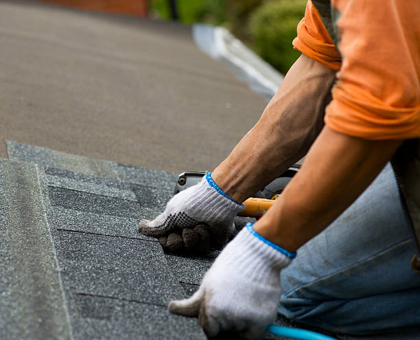 Best Roof Repair Services  in French Lick, IN